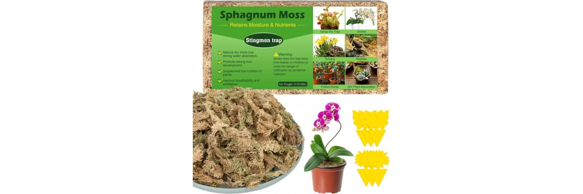 Sphagnum Moss 