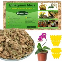 Stingmon Trap Sphagnum Moss for Orchid 200g Peat Moss for Plants 