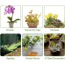 Stingmon Trap Sphagnum Moss for Orchid 200g Peat Moss for Plants 